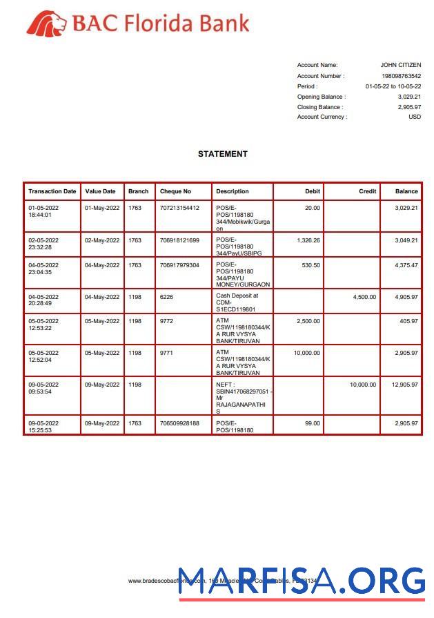 Blank USA BAC Florida bank statement word example